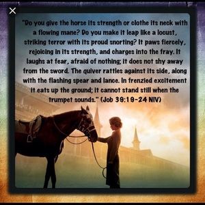 Meet your Posher, Robyn